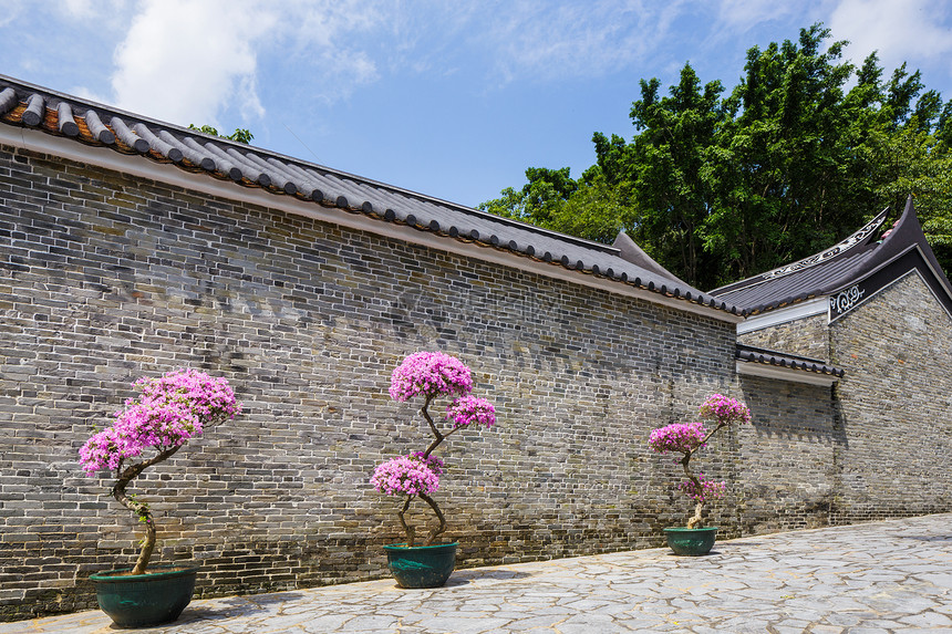 传统的中国传统建筑结构房子入口植物石头花园天空寺庙蓝色图片