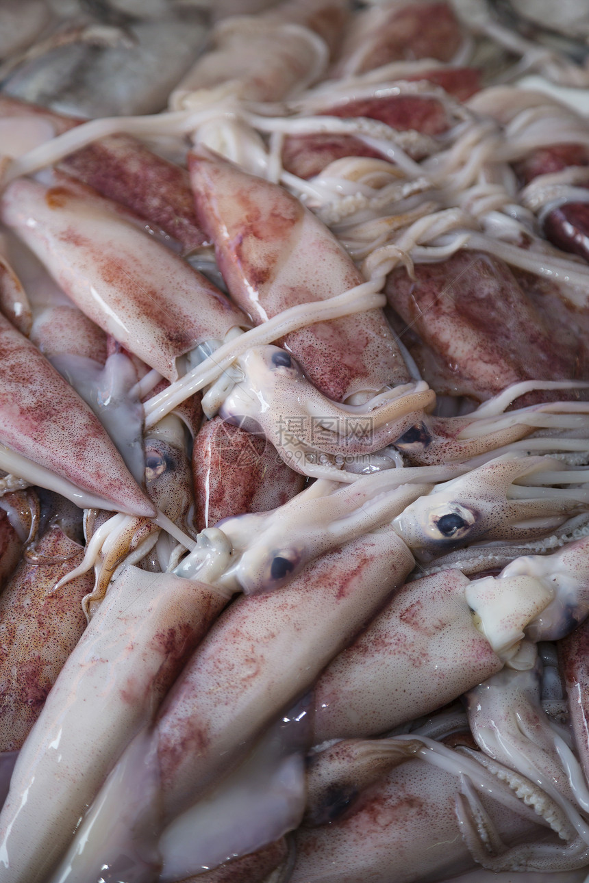 市场上的新鲜鱿鱼海洋紫色动物美食团体乌贼烹饪头足类钓鱼食物图片