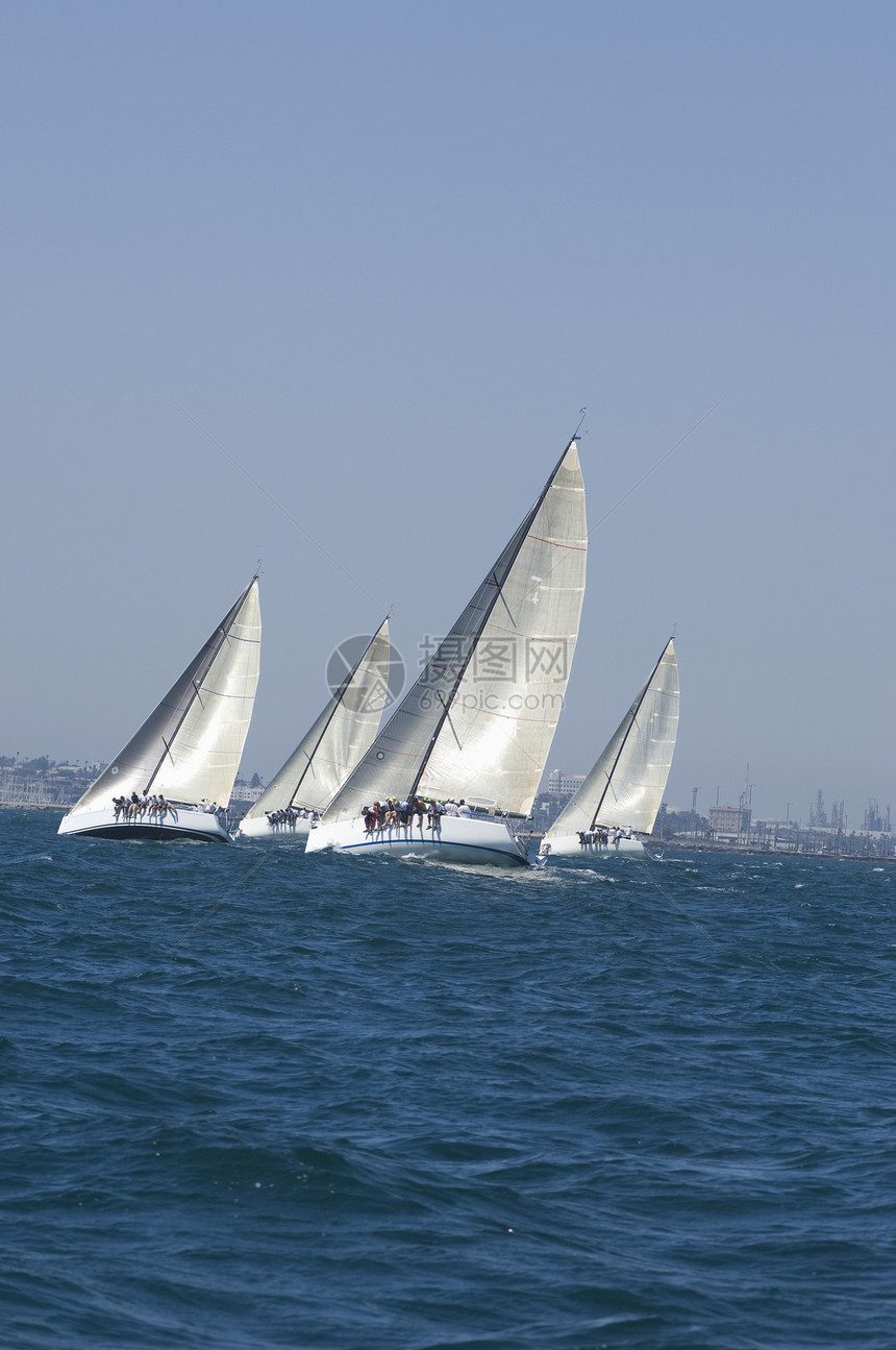 四艘游艇参加加利福尼亚州队帆船赛海洋帆船竞赛对抗水面天空水车蓝天比赛运动图片