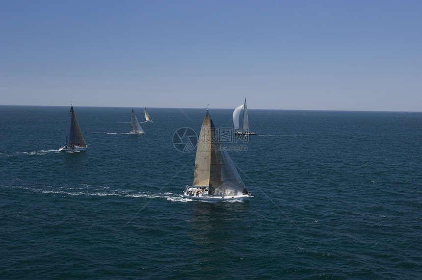 四艘游艇参加加利福尼亚州队帆船赛帆船水车运动航海唤醒海洋地平线竞技蓝色日光图片