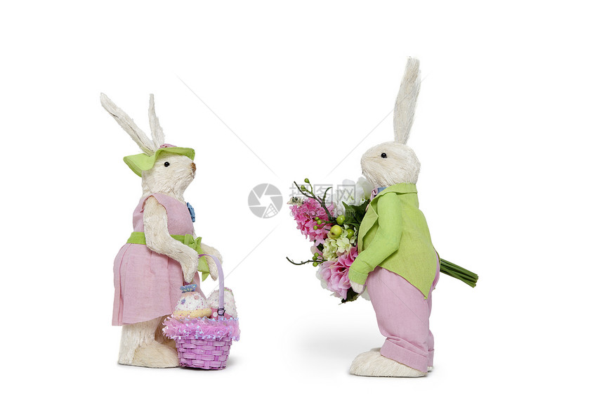 白色背景的花花束和母兔角观雄兔子侧面视图图片