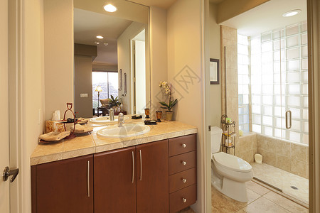 古典洗手间淋浴房场景淋浴贮存房间毛巾浴室玻璃奢华背景图片