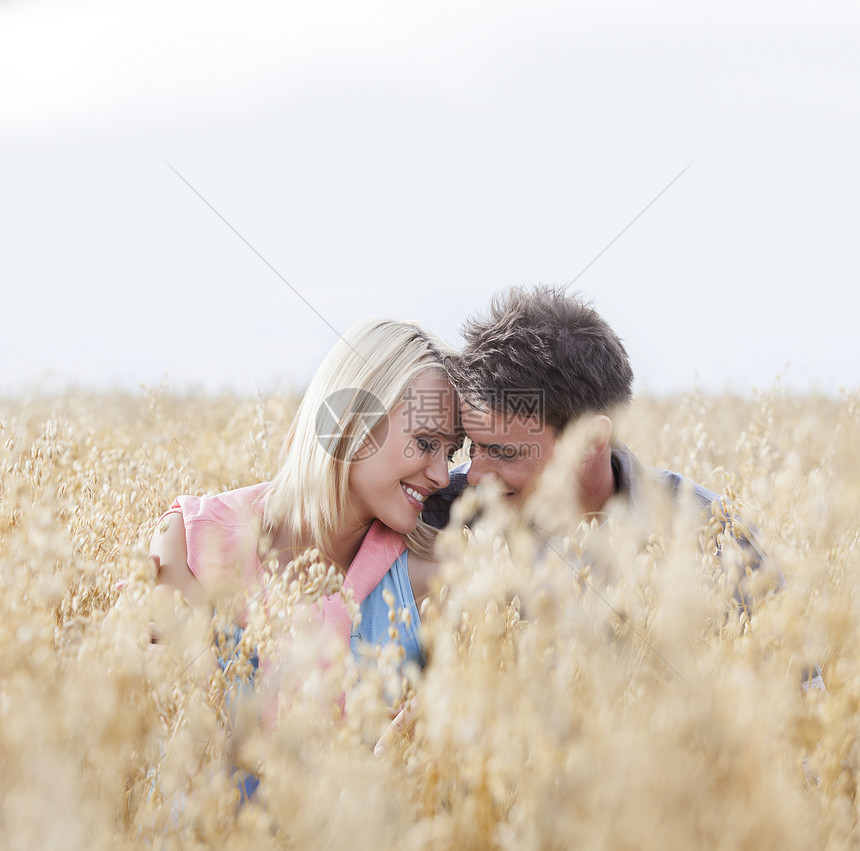 坐在田野里的浪漫的年轻夫妇图片
