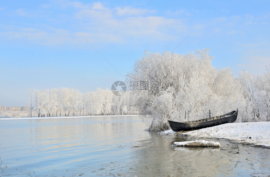 多瑙河附近的寒冬树季节天空场景晴天反射阳光寒意场地农村树木图片