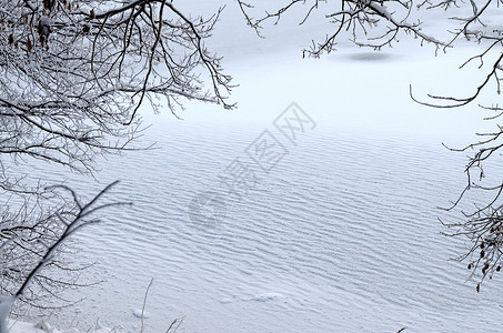 边框素材冬天透过冰冻的雪树枝边框看一眼背景