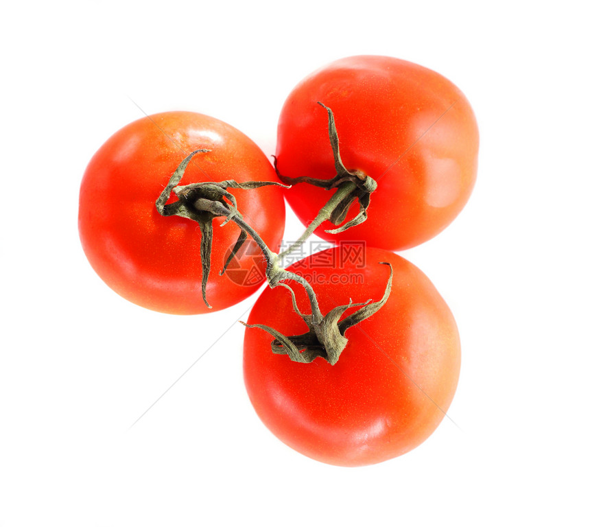 三个孤立的西红柿蔬菜红色异构体白色食物图片