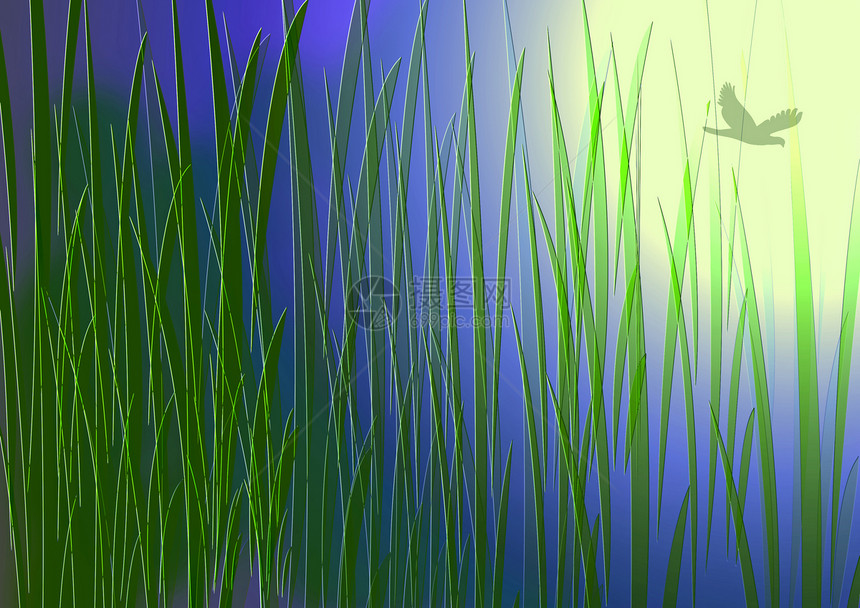 与鸟同在月亮绘画艺术植物海岸绿色芦苇苍蝇黑暗数字化图片