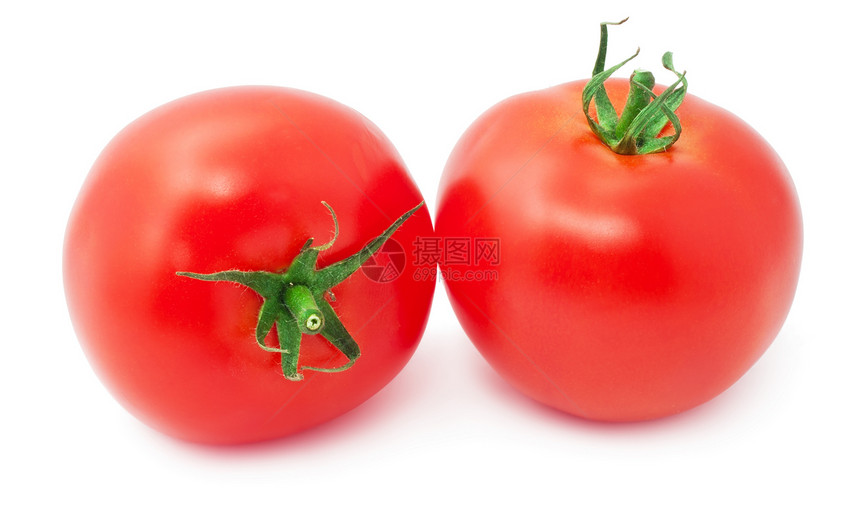 番茄营养叶子食物宏观农业蔬菜白色绿色红色图片