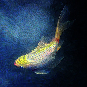 鱼类摩西克鱼背景图片