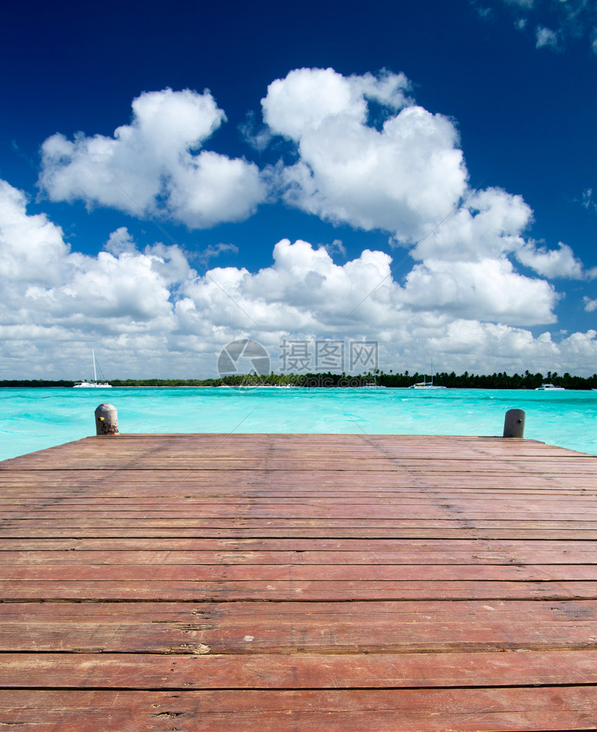 热带海洋椰子海浪旅行假期海景气候海岸线蓝色风景波纹图片