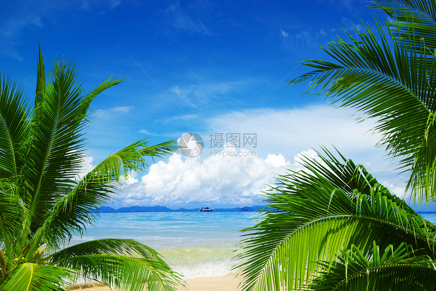 沙滩和热带海支撑阳光天空太阳海景天堂放松假期旅行海浪图片