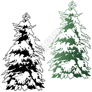 白雪隐藏树设计木头插图森林针叶树元素植物树干松树背景图片