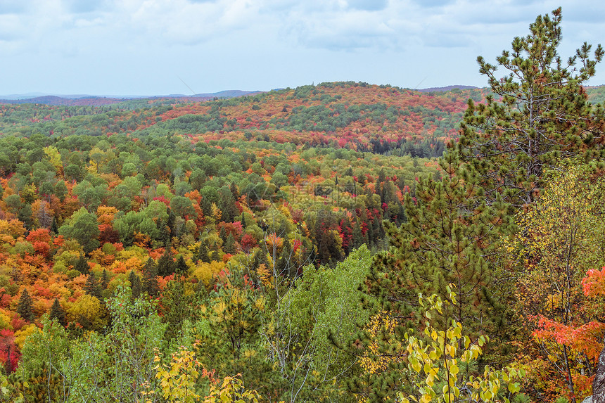 秋天Algonquin国家公园远足天空场景娱乐风景公园旅行森林季节国家图片