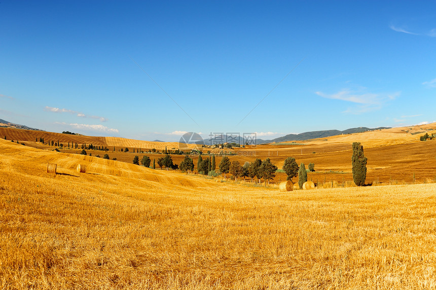海巴勒斯蓝色干草农村房子场地农田地平线生长草原收成图片