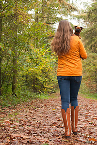 带着一条狗回到森林里秋天的落叶高清图片素材