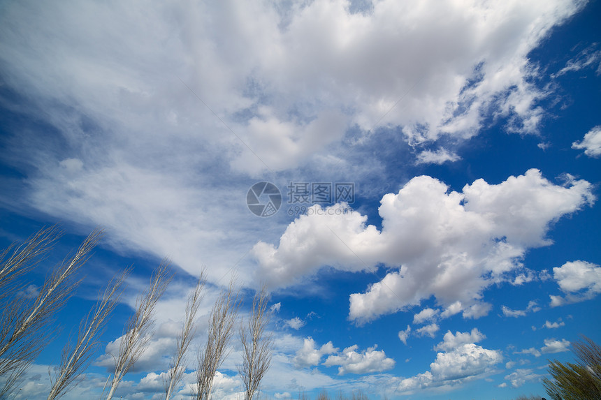 寒冬的蓝蓝色飞天与无叶花粉云景阳光水分辉光地平线天蓝色气候环境天气晴天图片