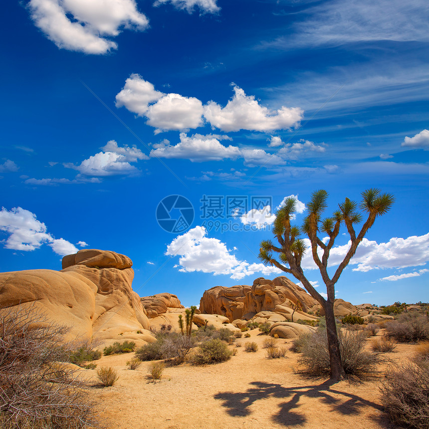 国家公园山谷沙漠太阳蓝色地平线干旱峡谷石头地标砂岩天空编队图片