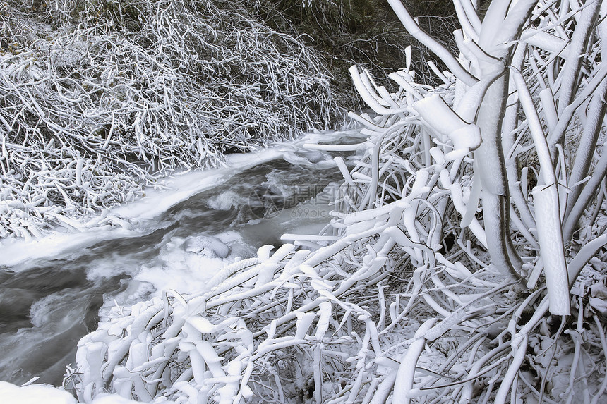 冰雪和冰雪流动溪流图片