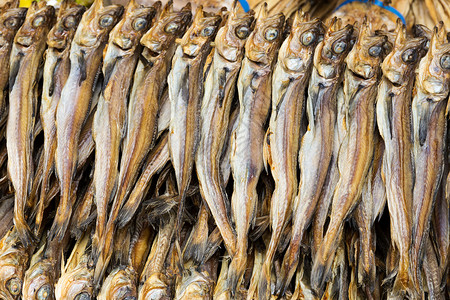亚洲咸鱼背景图片