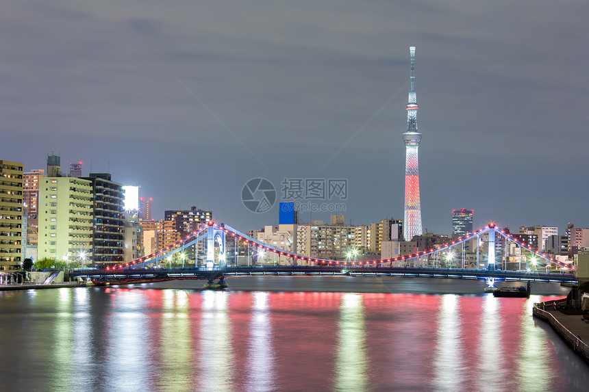 东京天树夜图片