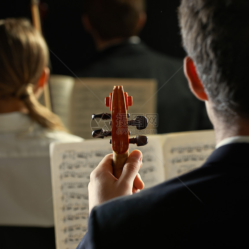 古典音乐 音乐会音乐家男士团队乐队交响乐乐器音乐小提琴乐谱娱乐图片