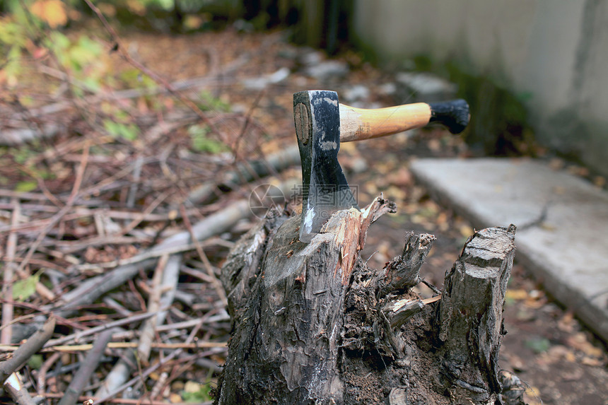 斧头林地木材木工人硬木工作木头工具动作樵夫图片