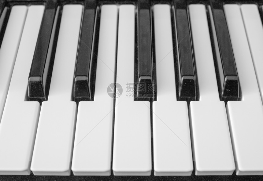 音乐键盘键大键器官乐器白色钥匙钢琴图片