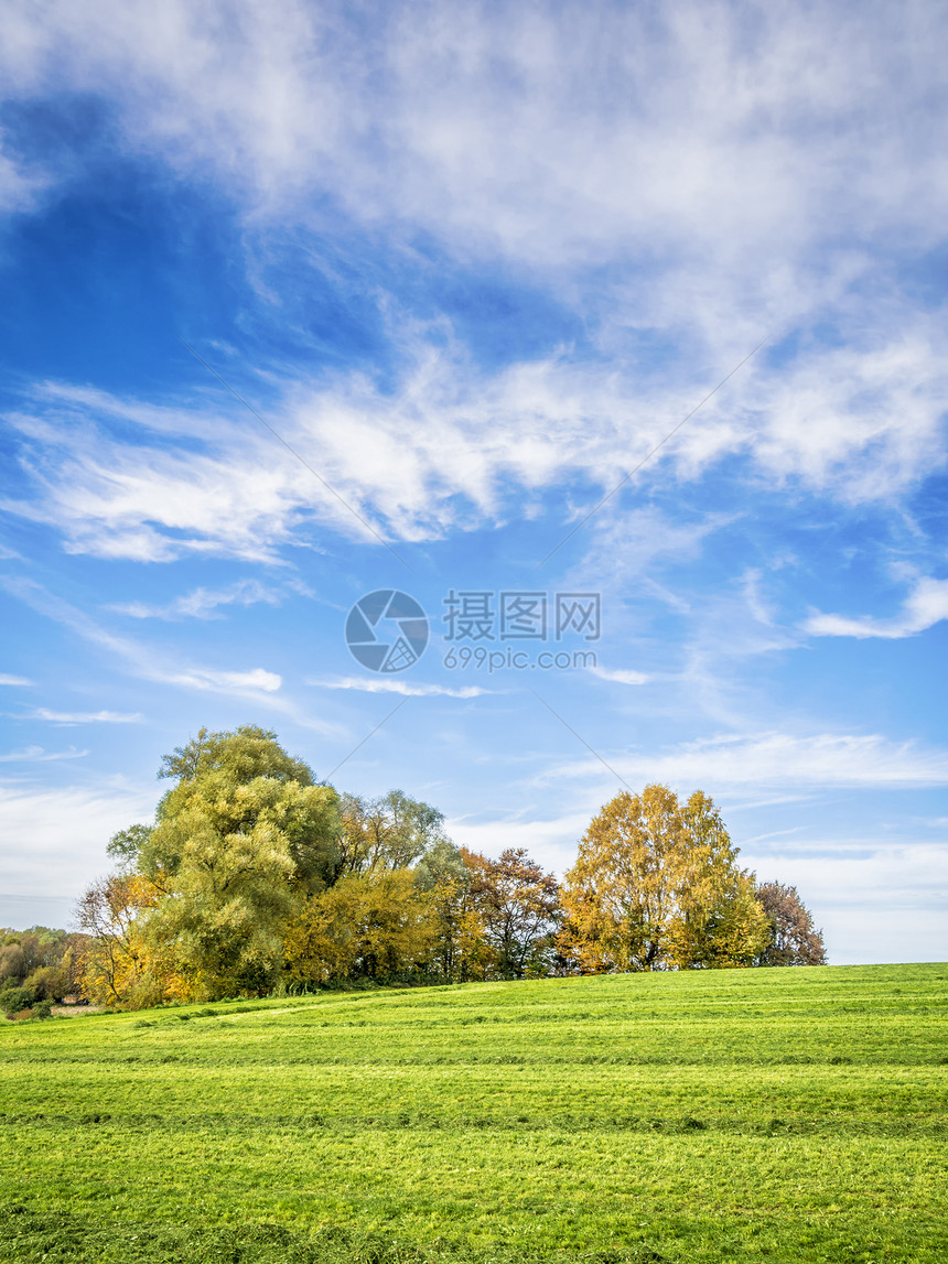 绿草地上的树木土地农场地平线晴天草地季节国家蓝色孤独自由图片