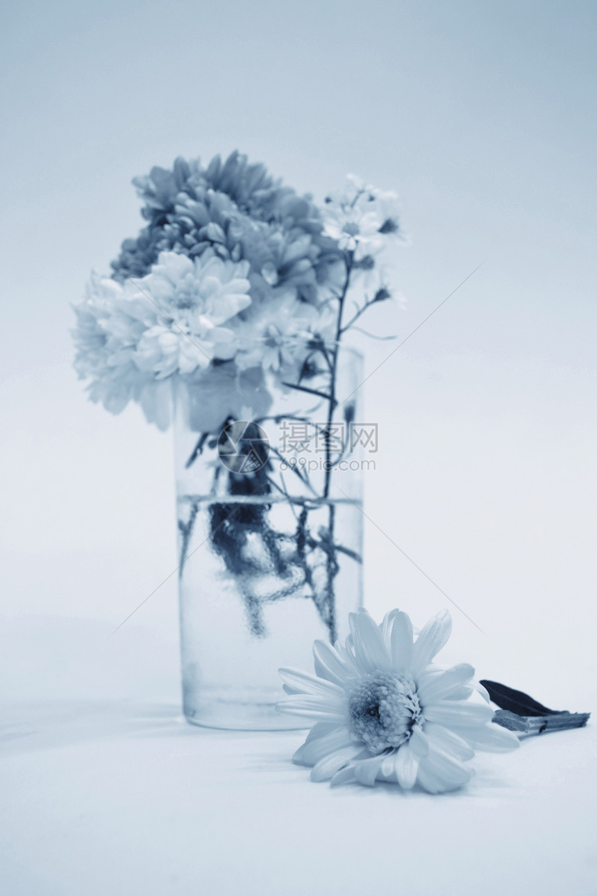单调色花束植物玻璃郁金香雏菊蓝色礼物浪漫花瓣花朵玫瑰图片