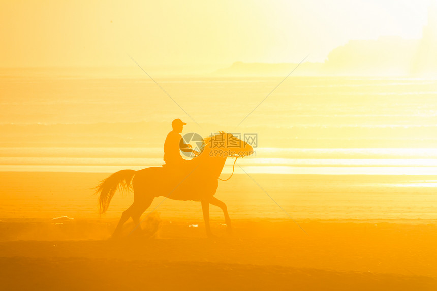 日落时马在海滩骑马男人荒野闲暇牧场主尾巴骑士假期运动跑步野生动物图片