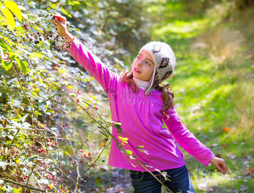 冬天的小女孩在森林里采木莓浆果采摘公园羊毛假期探险家旅行孩子树木女孩女性图片