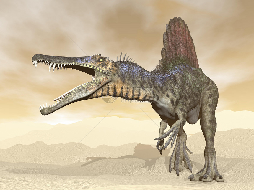沙漠中的脊柱恐龙3D转化天空博物馆凤头侏罗纪插图攻击爬虫龙类动物捕食者图片