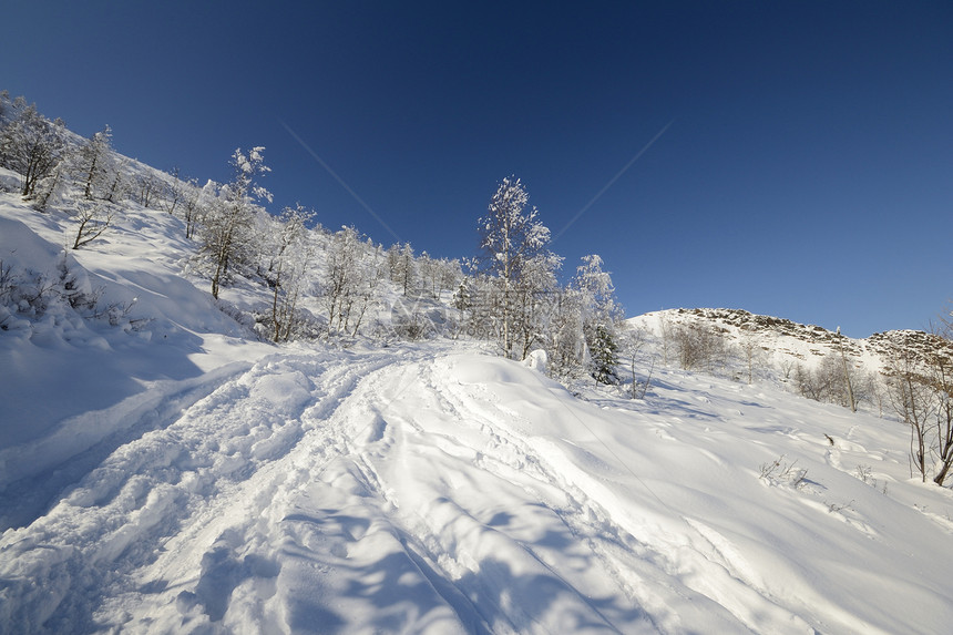通过巡游滑雪探索阿尔卑斯山蓝色桦木运动季节地形冰川全景自由风景粉雪图片
