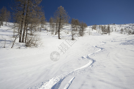 滑雪区滑雪道寂寞高清图片