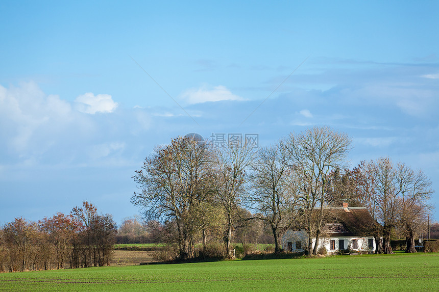 绿色农田和蓝天的美丽绿地貌天气国家生态蓝色草地场景土地天空农村草原图片