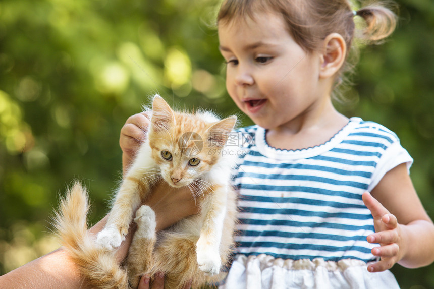 女孩和小猫玩快乐金发孩子乐趣幸福姐妹猫咪婴儿童年压痛图片