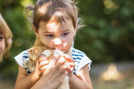 女孩和小猫玩友谊猫咪乐趣情绪化动物压痛快乐姐妹白色幸福孩子高清图片素材