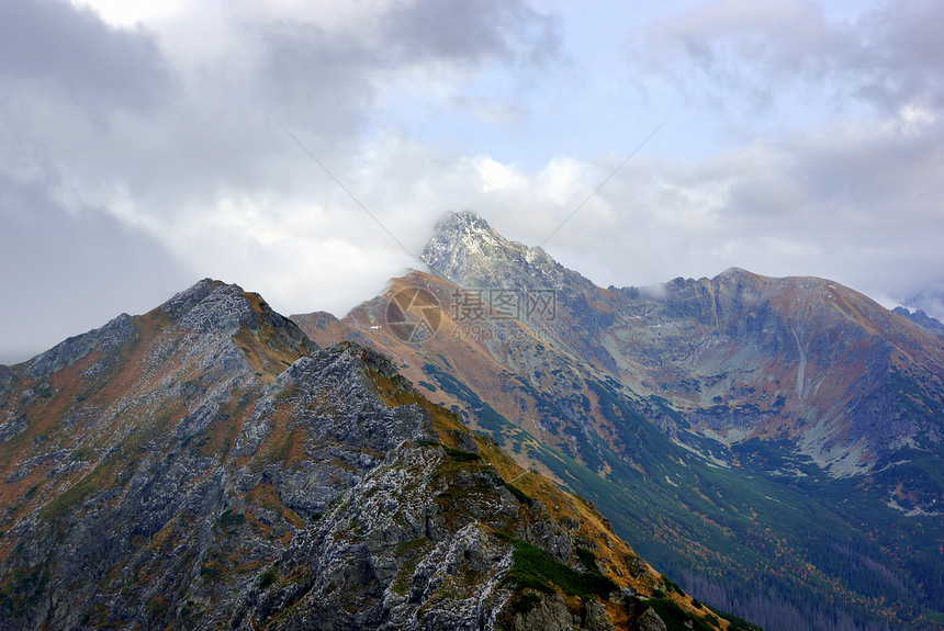 波兰塔特拉斯高山地貌景观岩石爬坡全景假期森林小路晴天冒险旅行游客图片