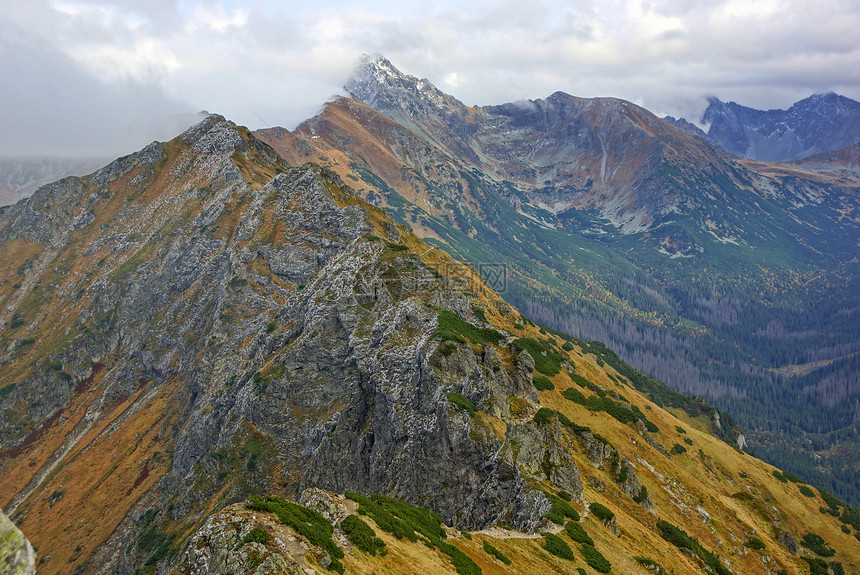 波兰塔特拉斯高山地貌景观小路全景爬坡旅游假期公园国家岩石晴天游客图片