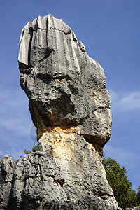 中国云南昆明史林石岩森林士林晴天地球地区国家柱子游客旅行公园农村石峰高清图片素材