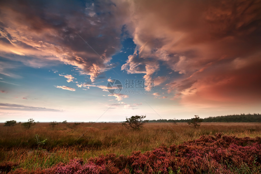 日落时在沼泽上弥漫着大雨云图片