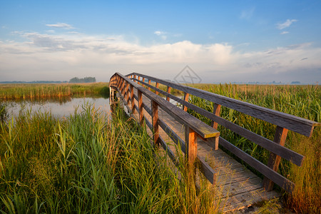 穿越河流的自行车木板桥背景图片
