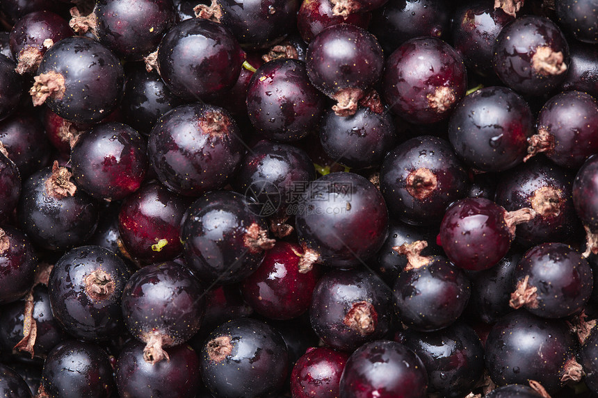 黑曲线团体水果食物黑色营养农业图片
