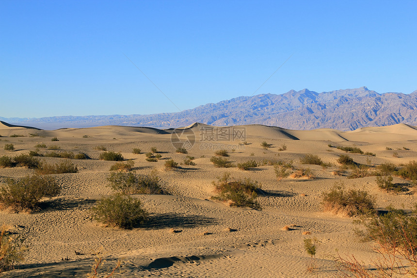 沙丘天空涟漪沙漠公园沙波地质学侵蚀风景风蚀山脊图片