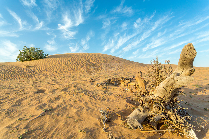 干旱地区旅行灰尘天空蓝色场景旅游沙漠植物图片