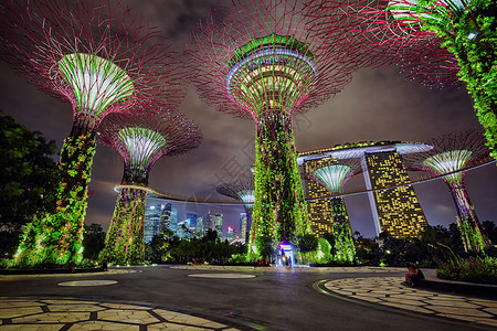 新加坡湾边的花园之夜景高清图片