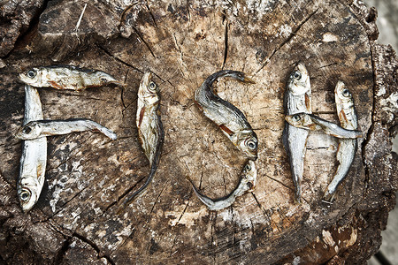 小干鱼形成鱼的字词食物背景图片
