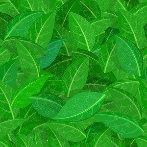 绿叶无缝模式壁纸叶子风格植物墙纸装饰绘画背景图片