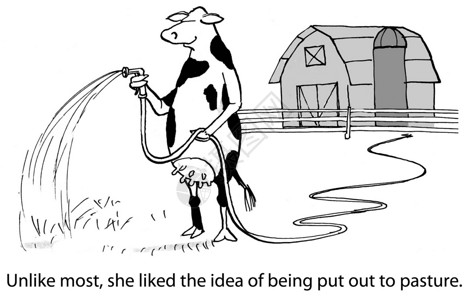 粘着牧场兽医奶制品漫画奶牛场地谷仓背景图片