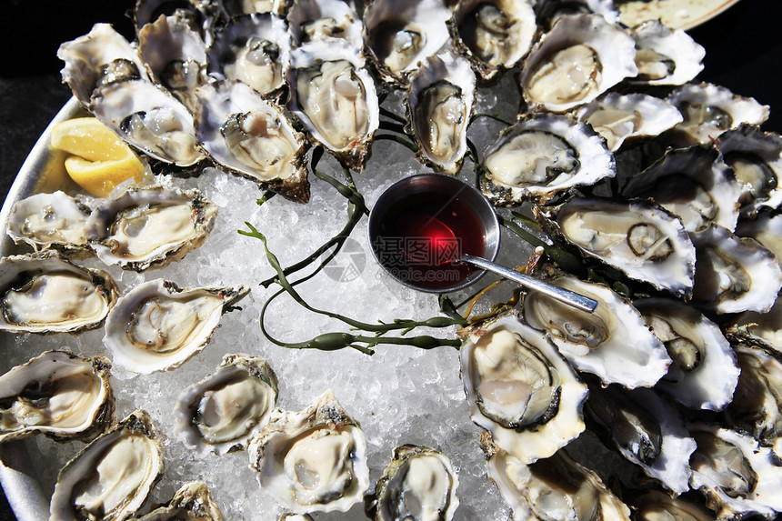 冰上开阔的牡蛎盘子海鲜壳类贝类午餐海洋美食奢华营养熟食图片